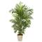 5.3ft. UV Resistant Areca Palm Tree in Country White Planter